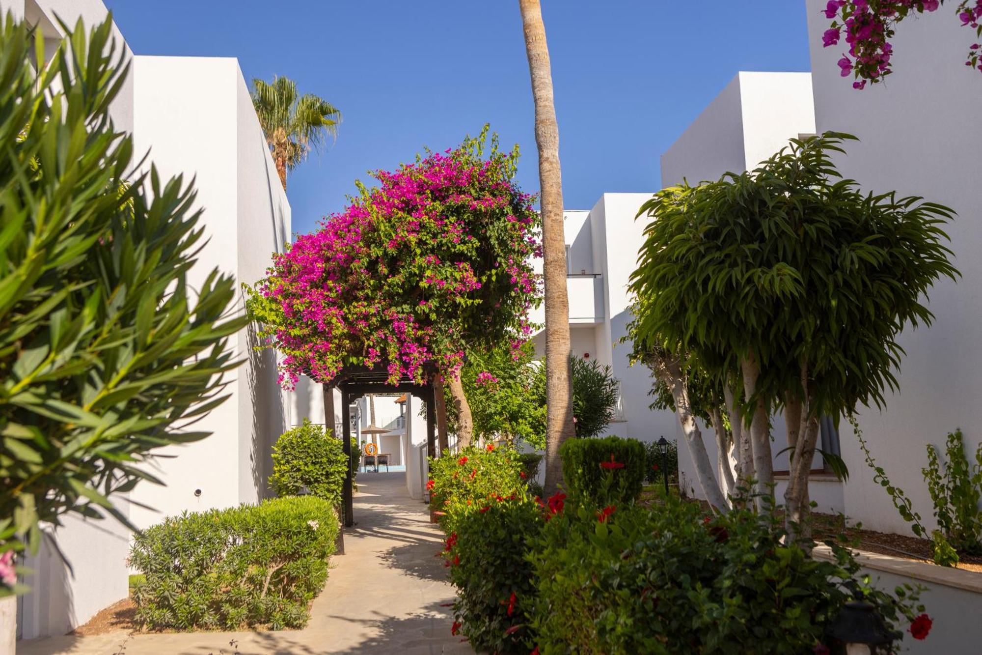 Kapetanios Aqua Resort Coral Bay Exterior foto